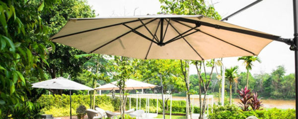 parasol