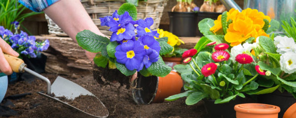 Jardinier paysagiste