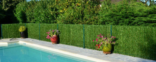 haie artificielle autour de votre piscine