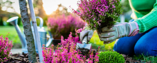 jardiniers